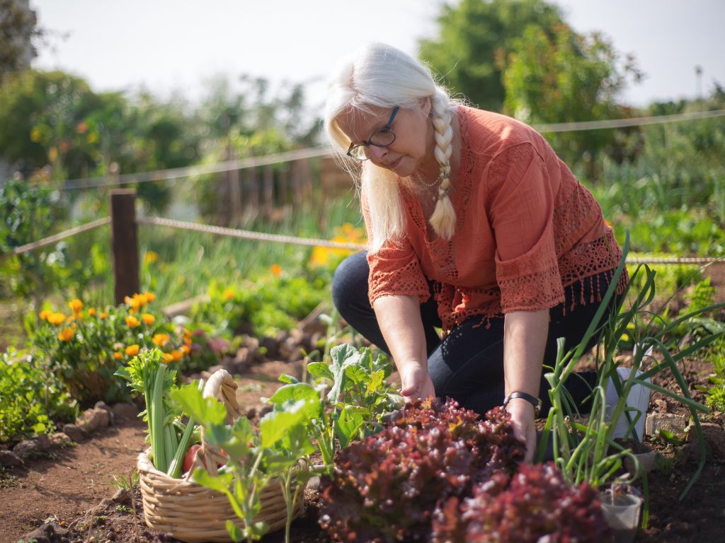 Além de promover o cultivo consciente, a horta pode ser integrada a outras práticas sustentáveis, como compostagem de resíduos orgânicos.