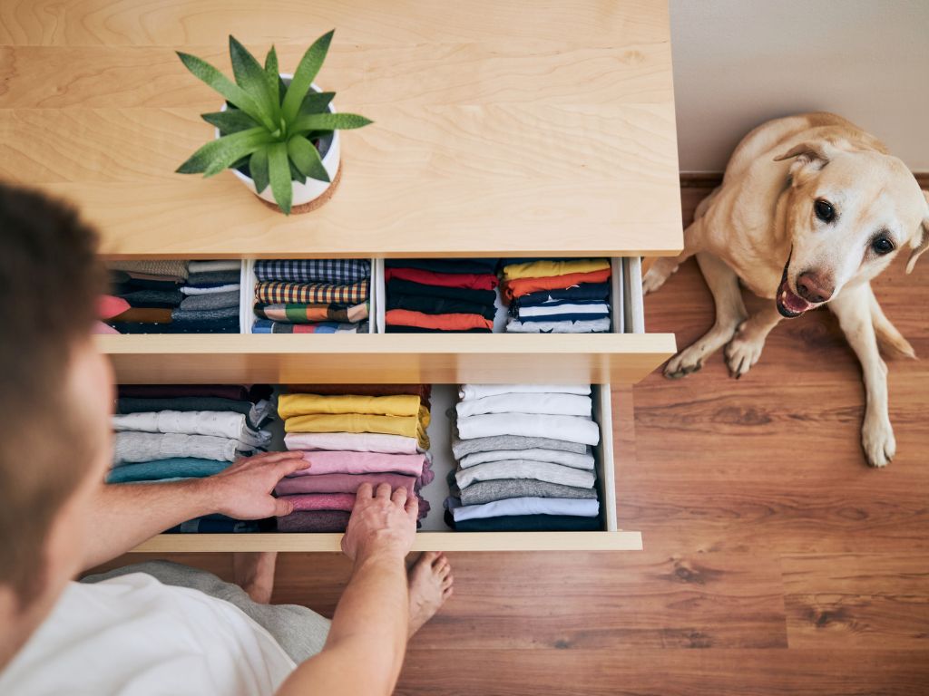 Seja para uma mudança, uma nova fase da vida ou simplesmente para colocar tudo nos trilhos, esse profissional pode ser o parceiro ideal para trazer leveza e praticidade à sua rotina.